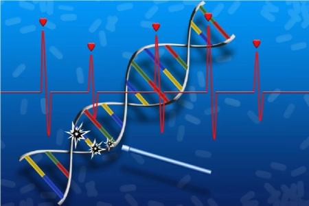 داروی ترمیم DNA،اخبار پزشکی،خبرهای پزشکی