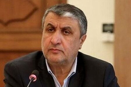 اسلامی: آژانس نباید بازیچه گروه‌های تروریستی باشد