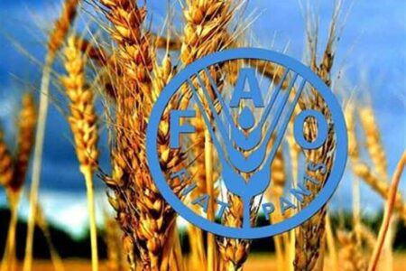 برنامه پزشکان خاک ایران مورد تحسین فائو قرار گرفت