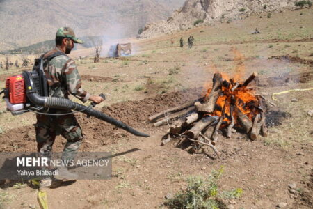 بسیج مردمی برای مهار آتش جنگل‌ها؛ آموزش جوامع محلی برای اطفای حریق