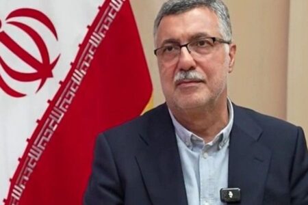 تأکید ظفرقندی بر پرداخت مکفی به پزشک خانواده
