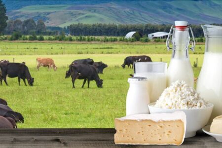 تصمیم‌گیری درباره قیمت لبنیات در هفته جاری