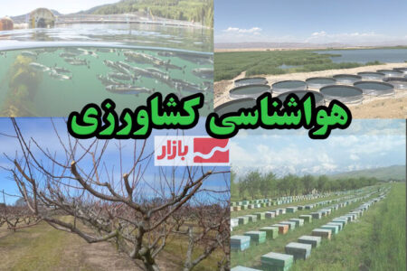 ضرورت انتقال محصولات کشاورزی برداشت شده به مکان‌های مسقف