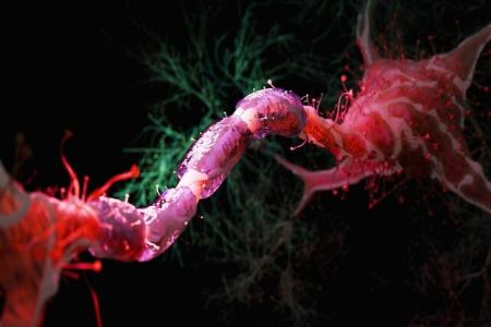 مغز،اخبار پزشکی،خبرهای پزشکی