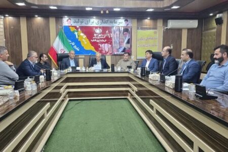 معاون فرماندار گناوه: طرح پایلوت مناسب‌سازی تردد معلولان  اجرا می‌شود