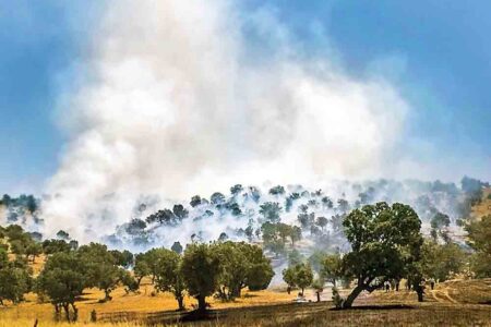 نابودی ۲۵میلیون مترمکعب آب زیرزمینی در آتش زاگرس
