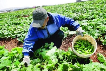 «نجات آب» ــ 46 | ترویج بسته‌های تکنولوژی به زبان محلی در روستاها