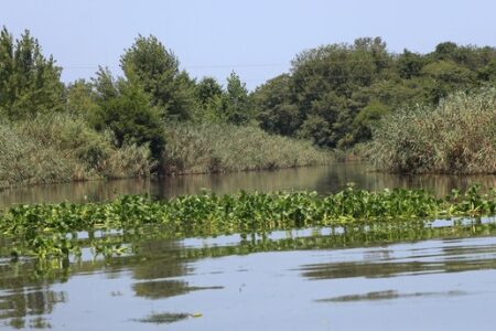 وضعیت تالاب‌های ایران نامناسب است
