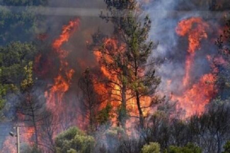 پدیده آتش‌سوزی در جنگل‌های کشور به یک بحران ساختاری تبدیل شده است