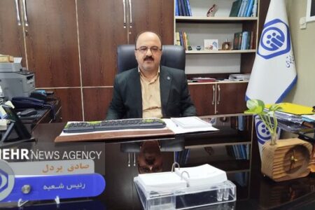 پردل: ۵۰ هزار نفر در آستانه اشرفیه تحت پوشش تأمین اجتماعی هستند