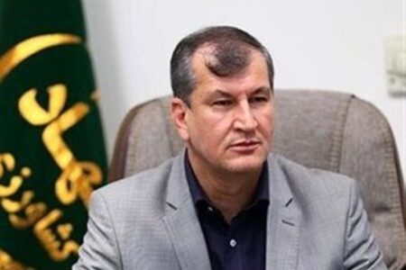 چالش‌های بودجه‌ای در مقابله با حمله ملخ صحرایی