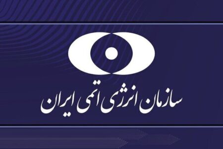 کشور در ایمنی هسته‌ای نابالغ است