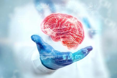 مغز،اخبار پزشکی،خبرهای پزشکی