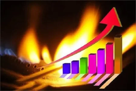 رکوردشکنی مصرف گاز در بخش خانگی و تجاری
