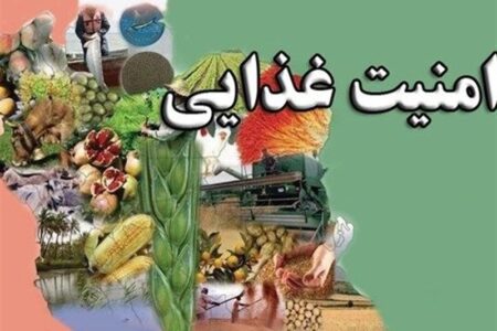 85 درصد امنیت غذایی کشور داخلی است