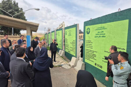 انصاری: گوزن زرد ایرانی گونه با ارزش باید صیانت شود