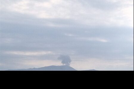 حمله دد منشانه به کشاورزی؛ از مرغداری تا سازمان‌های جهادکشاورزی