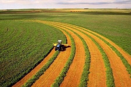 شرایط کشت بهاره دیم مطلوب شد