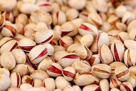 محدودیت‌های اتحادیه اروپا بر صادرات پسته ایران برداشته شد