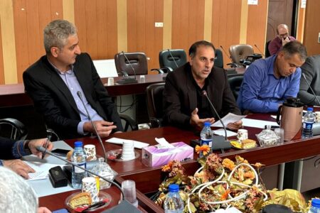 شهیدی: مناسب‌سازی اماکن برای ایثارگران نیازمند عزم همه دستگاه‌ها است