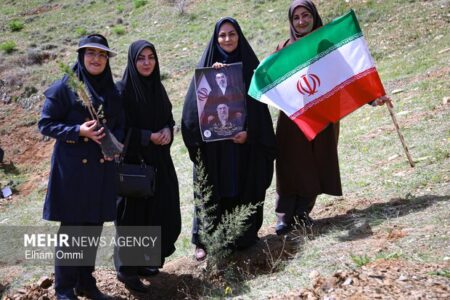 طرح کاشت یک میلیارد درخت در نیمه راه؛ بقای نهال‌ها مهم‌تر از آمار کاشت