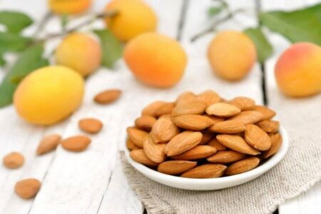 هسته زردآلو را نخورید!/ تلخی گیری به معنی بی خطر شدن هسته نیست!