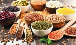 ثبت سفارش واردات حبوبات آغاز شد